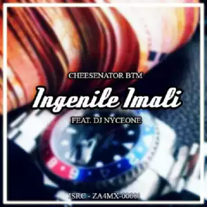 Cheesenator BTM - Ingenile Imali Ft. DJ Nyceone